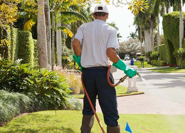 About Minong WI Pest Control